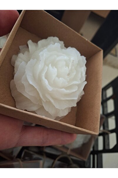 Zeyn 25 Adet Şakayık Mum Dağıtmalık Nişan Söz Kına Baby Shower Düğün Nikah Hediyelik Hediye