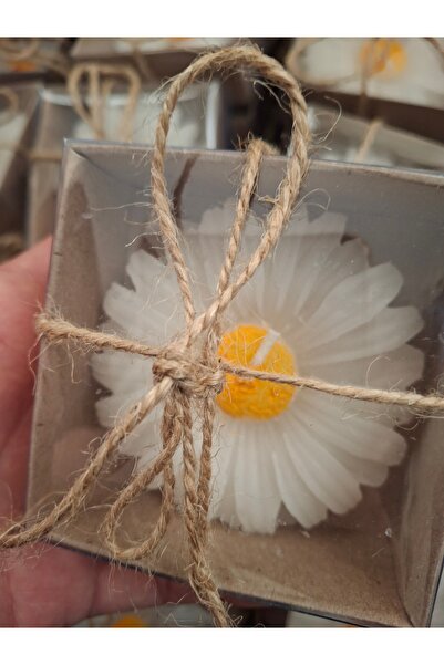 Zeyn 25 adet Papatya mum Dağıtmalık kına düğün nişan sünnet nikah özel gün