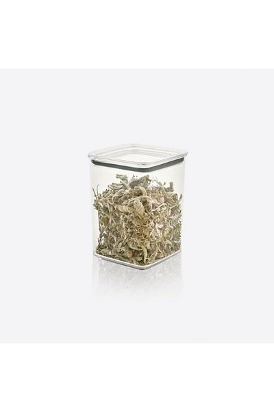 DERİK Htsp Home Square Transparent Mica Leakproof Vacuum Food Container, Pulses and Nuts Storage Container, g