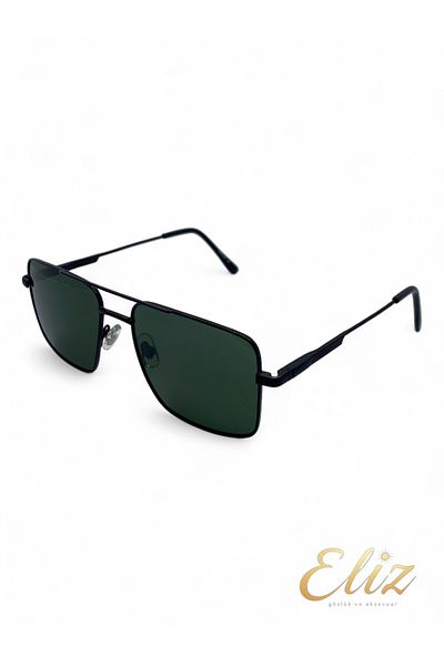 Pierre Loti Sunglasses Pl4007 C42