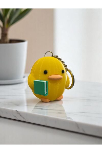 Aly Informed Chick Keychain Figure Green Book