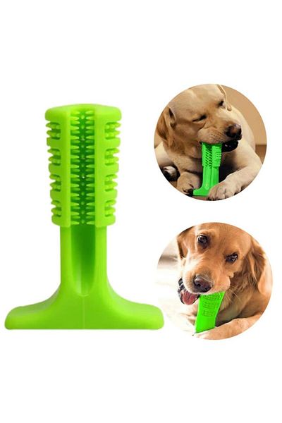 STOREMAX Ezg Dog Teeth Cleaner and Scratcher Healthy Small Size Toy Ezsnshop 1065757