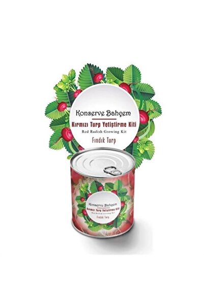 Tahtakale Toptancısı BUFFER ®   Kit de cultivare de arahide și ridiche conservate în conserve Garden of Mine