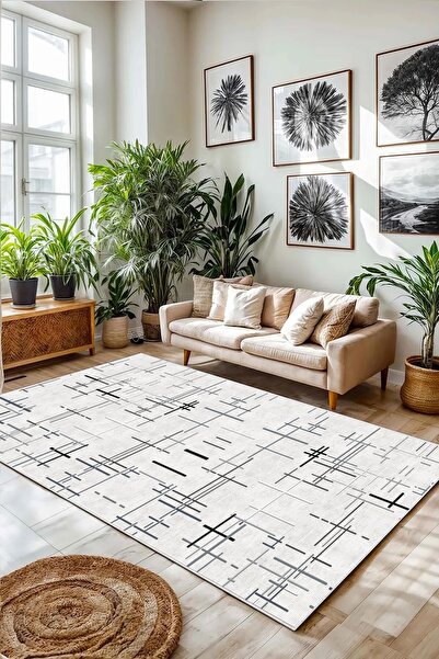 df home Salon Halısı Geometrik İskandinav Eskitmeli Dijital Baskı Yıkanabilir...