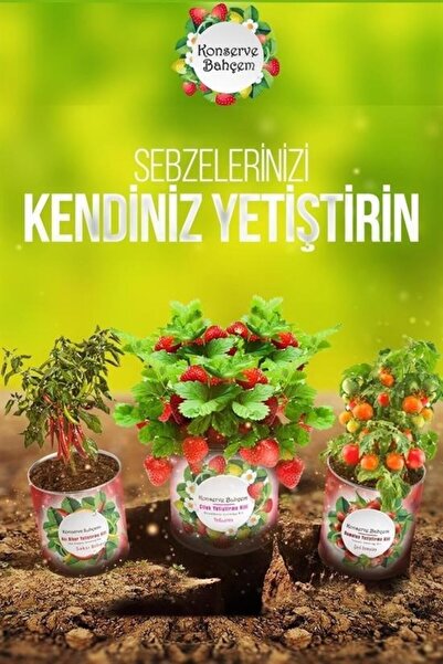 Tahtakale Toptancısı BUFFER ®   Kit de cultivare de arahide și ridiche conservate în conserve Garden of Mine