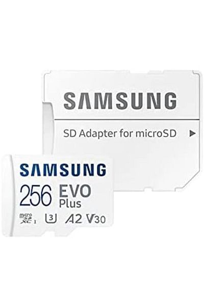 STOREMAX Ezg Evo Plus Microsd Memory Card 256 Gb Ezsnshop 1065757