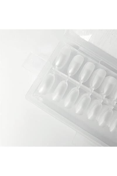 Mia Professional نصائح جل، شفاف (لوز)، 504 قطعة في العلبة