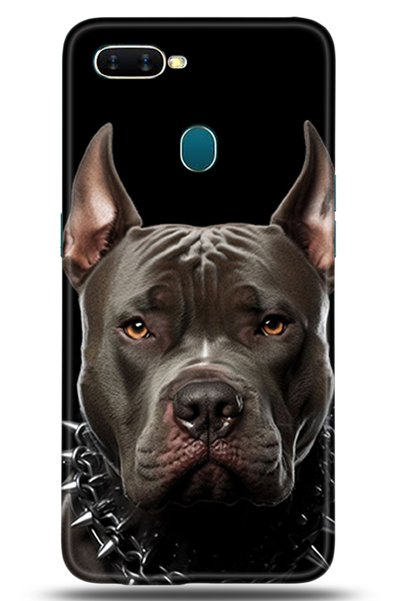 Noprin Oppo Ax7 Case Hd Printed Case - Custody Series 5104