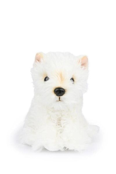 ToysAll Bon Ton Toys B.T. Chaps Timothy the Scottish Terrier Boxed Plush Toy 17 cm - 7'' 32177011