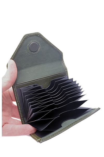 willpolo Genuine Leather Cover 12 Compartments Green Accordion Card Holder Envelope Model Credit Card Holder