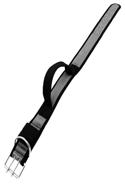 Tasma Market Soft Textured Column Dog Collar with Gray Handles Dog Tactical Collar