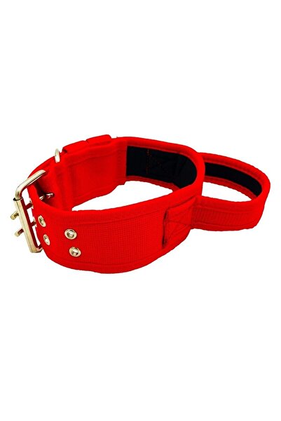 Tasma Market Soft Textured Column Dog Collar with Red Handles Dog Tactical Neck Collar