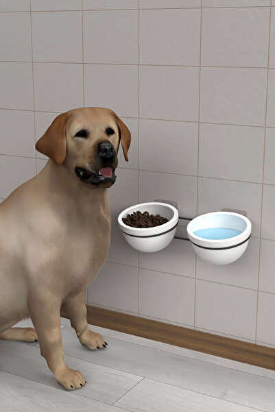Dekula Yapışkanlı Asılabilir Seramik Mama Ve Su Kabı Metal Standlı Kedi Köpek...