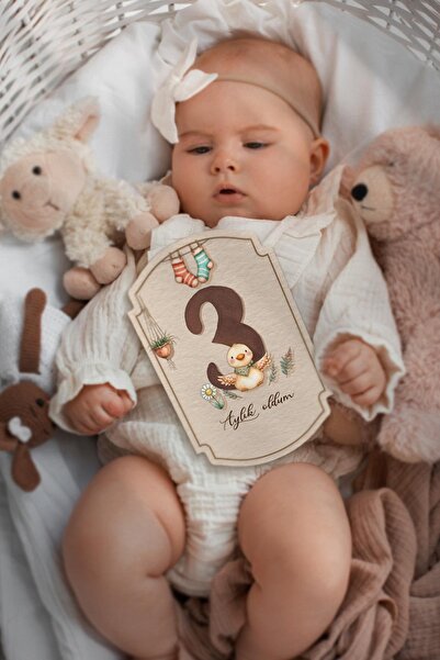 MSticker Bebek Anı Kartları, 22 Adet En Özel Anlar için Anı Kartı / Fotoğraf Figür, Özel Tasarım Saklama Kutu