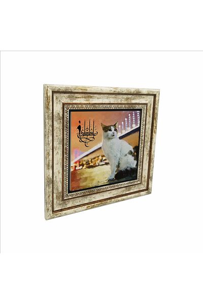 Sadrazam Tablou din piatră naturală imprimată pisica din Istanbul (25 X 25 KRT-64)