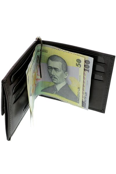 GiftExpress Leather Wallet with Money Clip Vester Brown