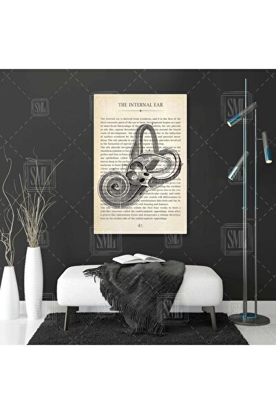 SML TABLO Kulak Burun Boğaz Kbb İç Kulak Dikey Kanvas Tablo