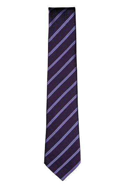 1001 Kravat Striped Tie