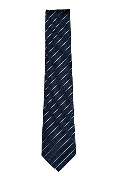 1001 Kravat Slim Striped Tie