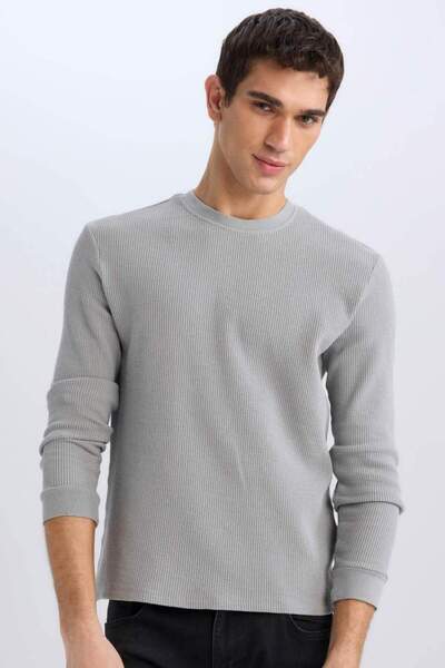 DeFacto Hellgraues Herren-Sweatshirt D7504AX/GR516