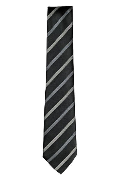1001 Kravat Striped Classic Tie