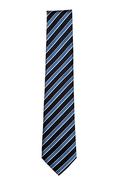 1001 Kravat Blue Striped Classic Tie