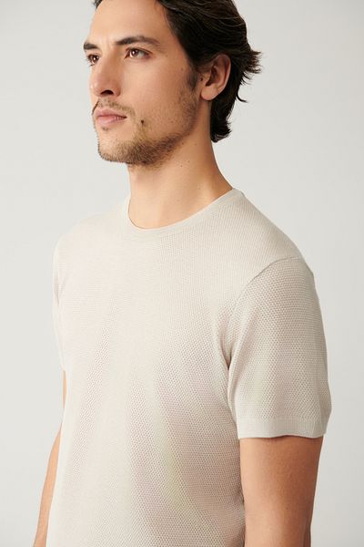 Avva Men's Stone Crew Neck Textured Cotton Knitwear T-Shirt E 005027