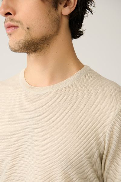 Avva Herren-T-Shirt aus strukturierter Baumwolle in Hellbeige mit Rundhalsausschnitt E 005027