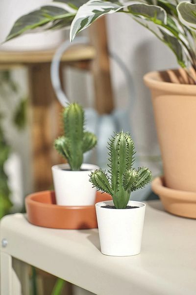 EA Home Concept Fejka 2 τεμάχια τεχνητό φυτό κάκτος και Monstera