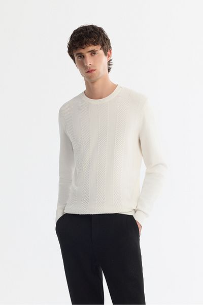Avva Men's Ecru Crew Neck Jacquard Rayon Knitwear Sweater A42Y5072