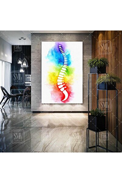 SML TABLO Sulu Boya Omurga İlüstrasyonu Fizyoterapi Beyin Ve Sinir Cerrahisi ...