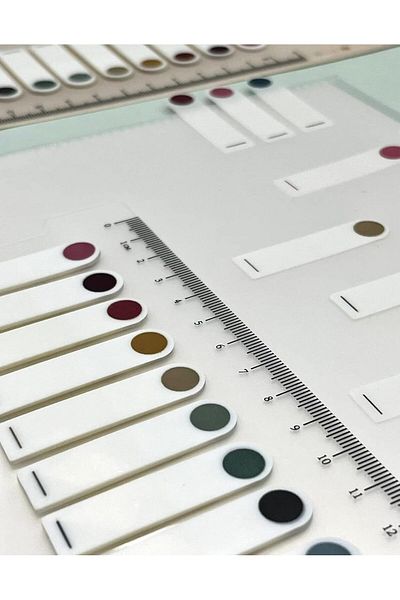 LUXE Ship Shop 10 Color Ruled Transparent Index Page Sticker Rounded Edge Retro Colors Lxshp 10