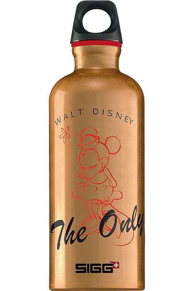 STOREMAX Sbl Flask 0.6 L, Bronze