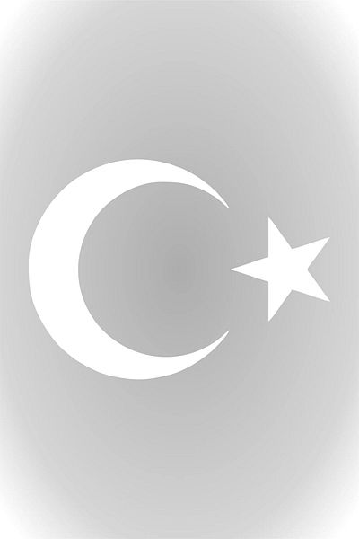 LUXE Accessory Moon Star Sticker Turkish Flag Sticker 10 X 7.5 cm White Lxshp 1055529