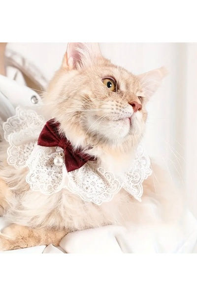Animalovers طوق قطة منسوج أنيق قابل للتعديل مع ربطة عنق ومريلة من الدانتيل