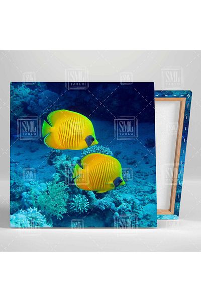 SML TABLO Κίτρινο ψάρι Ocean Sea Nature Animal Τετράγωνος πίνακας σε καμβά