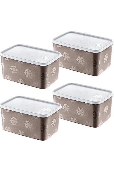 STOREMAX Ezg Set of 4 No Frost Storage Container Terra 2600 ml Ezsnshop 1065757