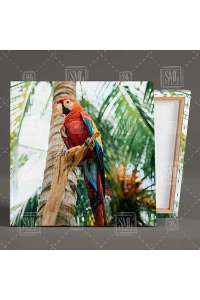 SML TABLO Κόκκινος παπαγάλος Macaw σε τετράγωνο καμβά σε τροπικό δάσος