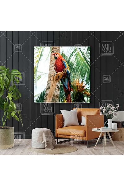 SML TABLO Κόκκινος παπαγάλος Macaw σε τετράγωνο καμβά σε τροπικό δάσος