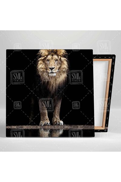 SML TABLO Τέχνη σε καμβά τετράγωνο Wild Lion and Reflection Nobility κοντά στο νερό