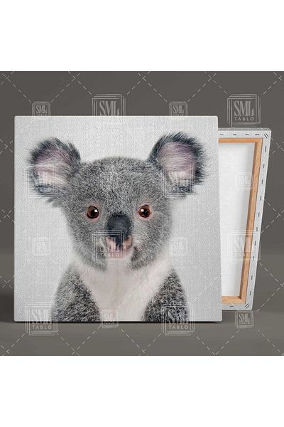 SML TABLO Baby Koala Grey Canvas Background Παιδικό Δωμάτιο Τετράγωνος Πίνακας Καμβά