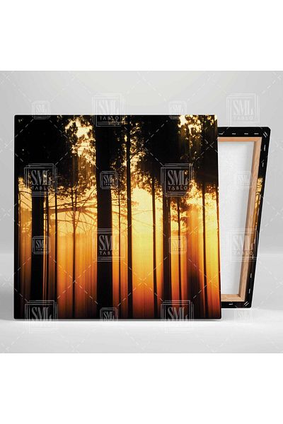 SML TABLO Peisaj de pădure de la apus de soare până la amurg Golden Hour Nature Square Canvas Painting