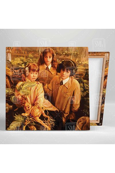 SML TABLO Harry Potter și prietenii Școala de Magie Man Herb Square Canvas Painting