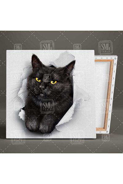 SML TABLO Cute Cat Animal Square Canvas Print de pe pânză