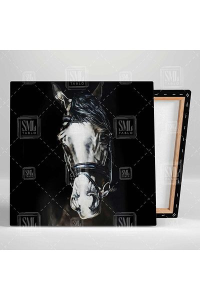 SML TABLO Cavalul alb nobil în întuneric Animal Square Canvas Painting