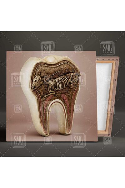 SML TABLO Dentist Gura și Sănătatea Dinților Dentist Dentist Fossil Square Canvas Painting