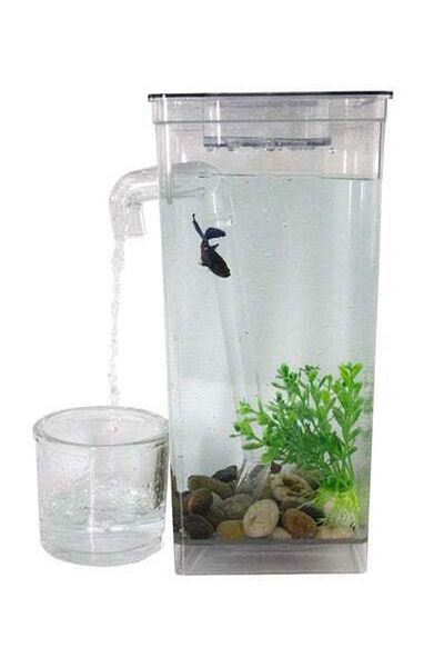 HALAMODO Self Cleaning Aquarium Fish Tank Transparent 15x12x25cm