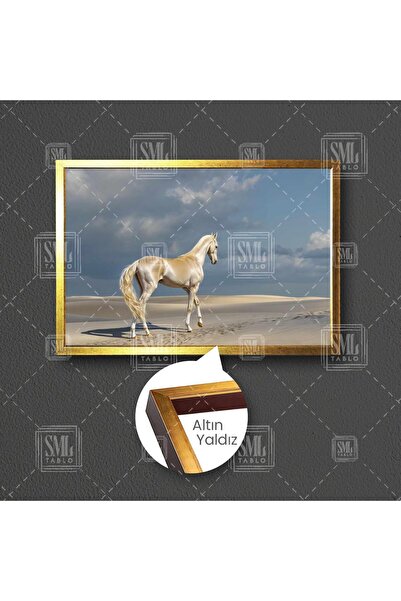 SML TABLO Ahal Teke At Türkmen Atı Asalet Çerçeveli Yatay Kanvas Tablo