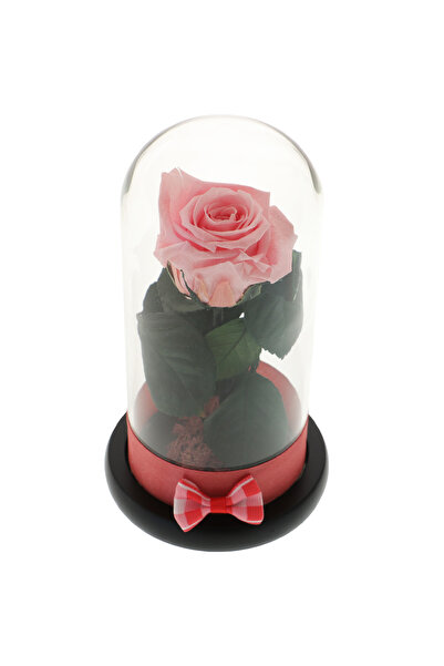 GiftExpress Trandafir Criogenat Pink Rose