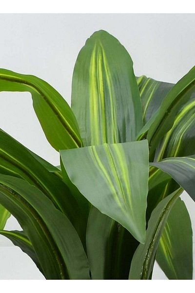 DRAMA HOME Artificial tree, simulating a soft corn tree with a natural texture, 100 cm high